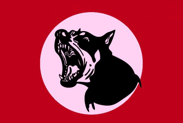 തെരുവുനായ പ്രശ്നം: മനുഷ്യാവകാശ കമീഷന്‍ ഡി.ജി.പിയോട് വിശദീകരണം തേടി